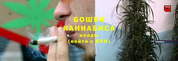 хмурый Лагань