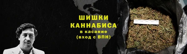 соль ск Ладушкин
