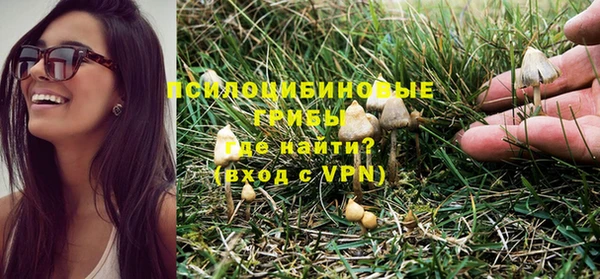 хмурый Лагань