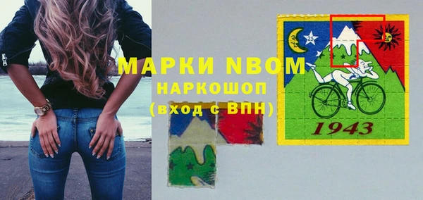 хмурый Лагань
